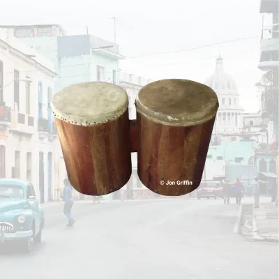 Bongo de Monte: Authentic Cuban Changüí Bongo Sample Library