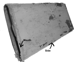 The Grey Bell - Campana Cubana