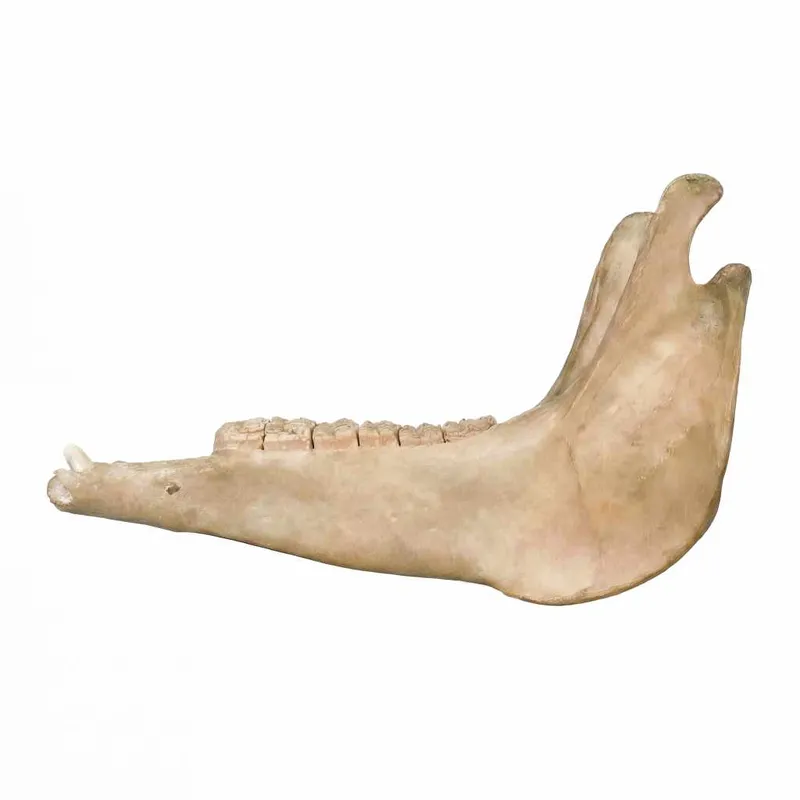 Quijada   Fernandez Web