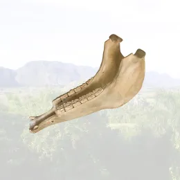 Quijada Sample Library: Authentic Cuban Jawbone Percussion